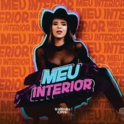 Meu Interior